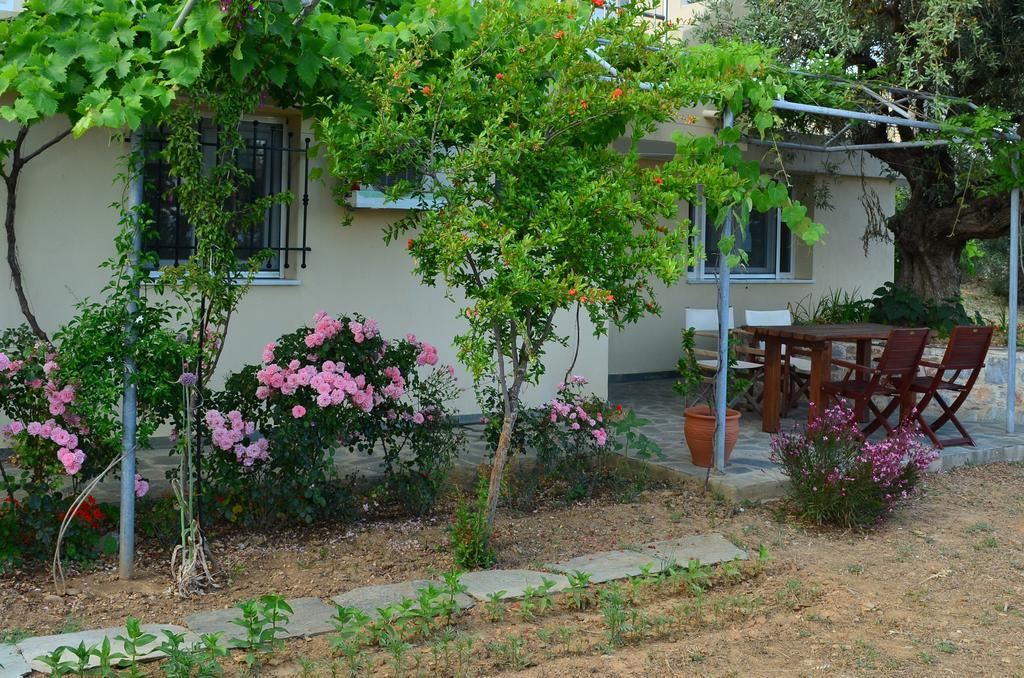 Villas Zoe Ksanemos Εξωτερικό φωτογραφία