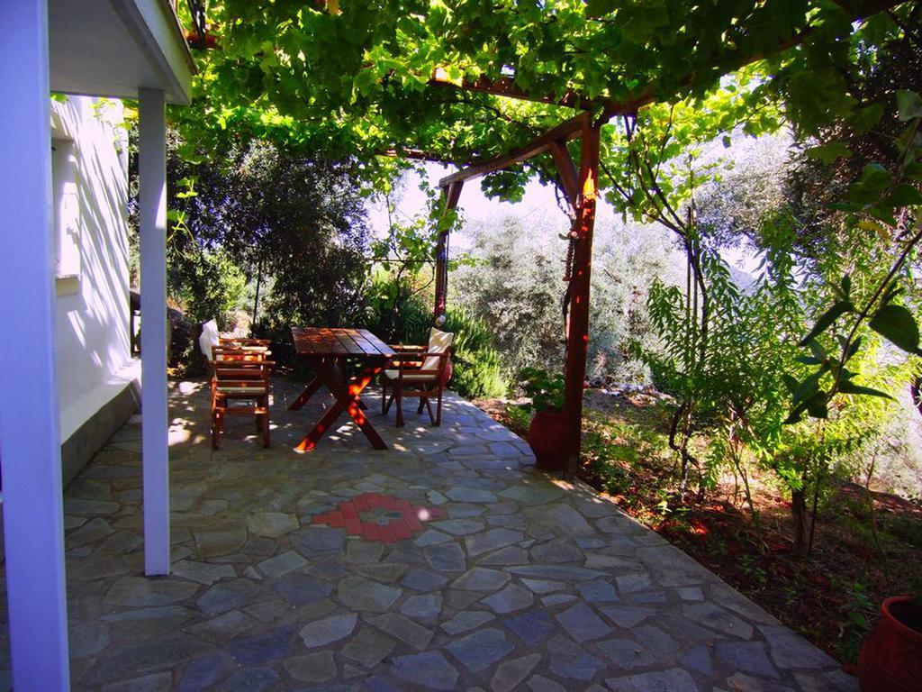 Villas Zoe Ksanemos Εξωτερικό φωτογραφία